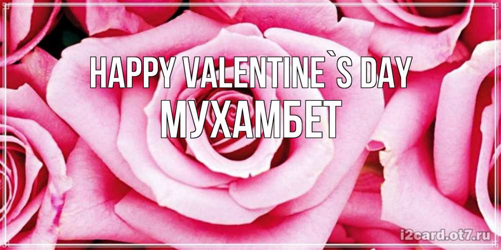 Greetings card с именем, МУХАМБЕТ Happy Valentine`s Day роза розовая на день Святого Валентина Greetings with text for free download 
